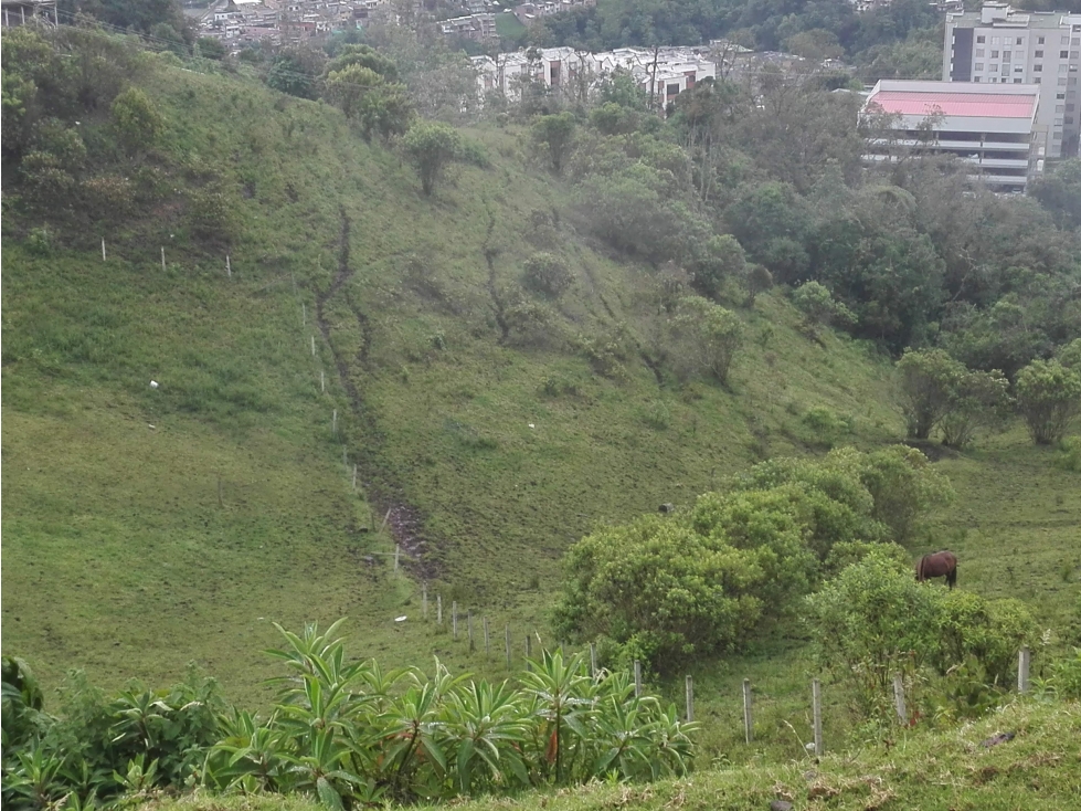 Venta Lote, Cerro de Oro, Manizales Cod 3970998 — foto 4