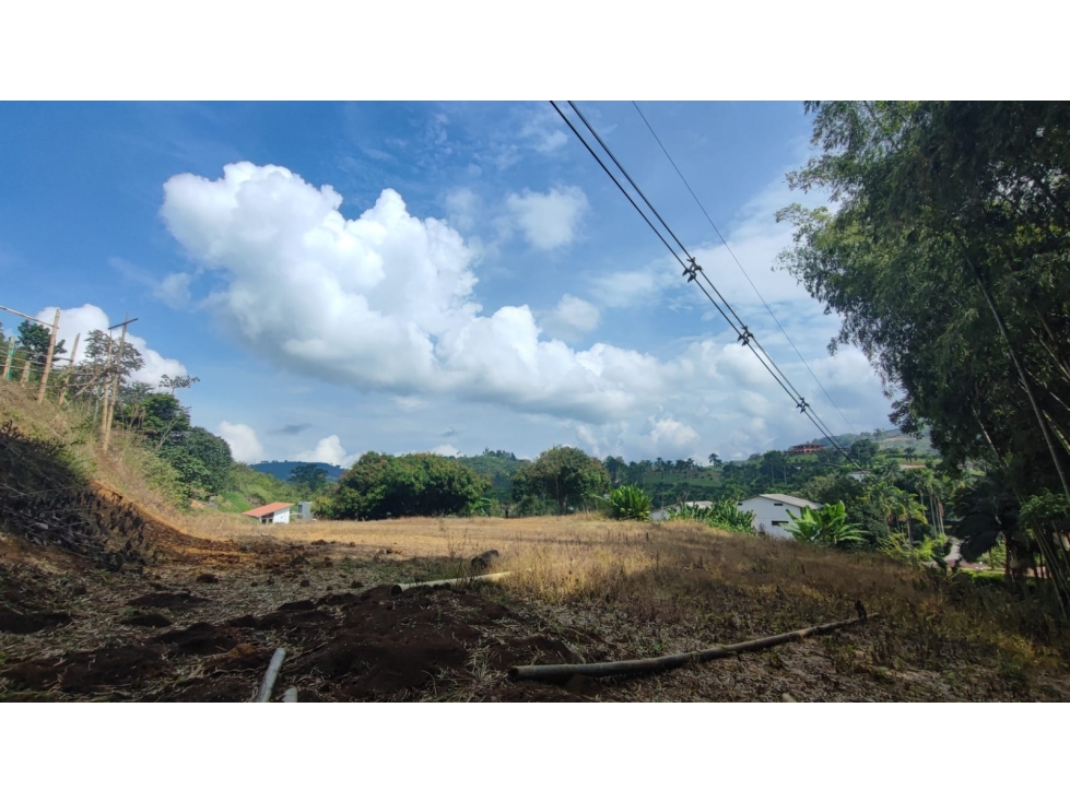 Vendo, Lote en Kilometro 15 Via Manizales La Trinidad — foto 6