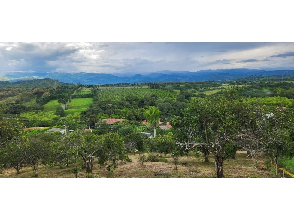 Venta lote Las Margaritas, Anserma COD 8524962