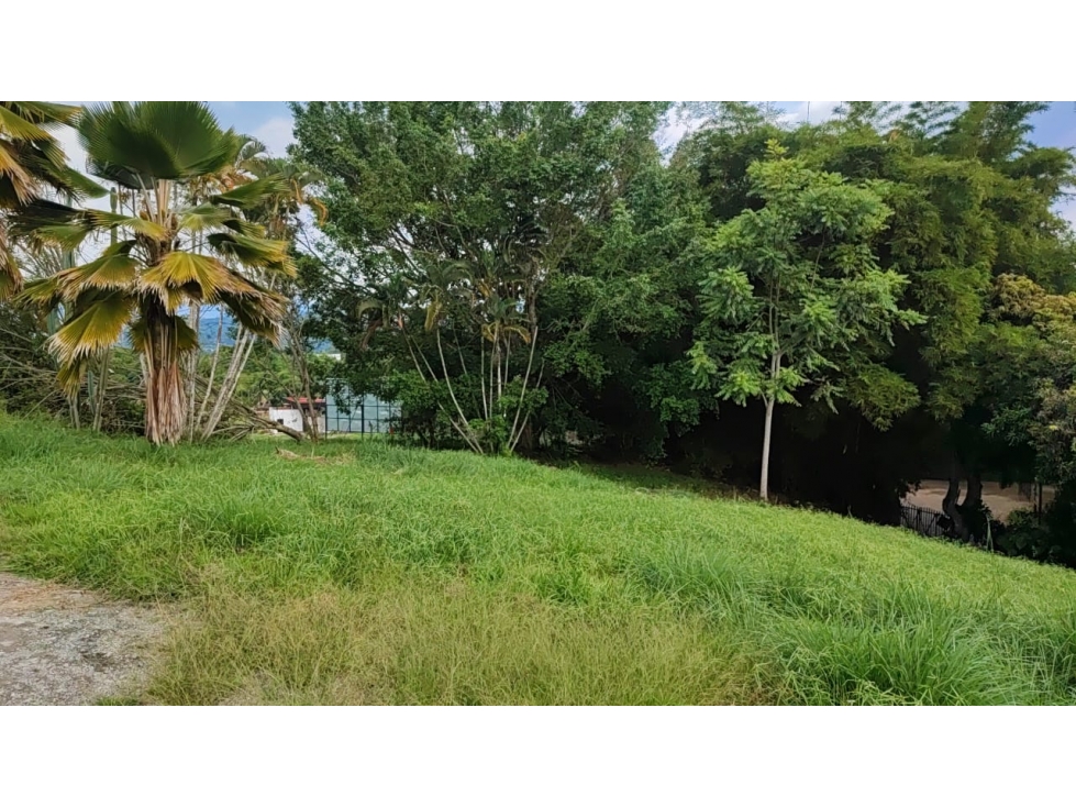 Venta Lote en Santagueda, Palestina COD. 9450697