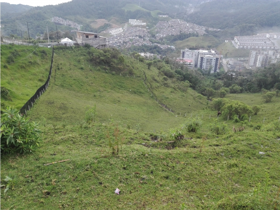 Venta Lote, Cerro de Oro, Manizales Cod 3970998 — foto 2