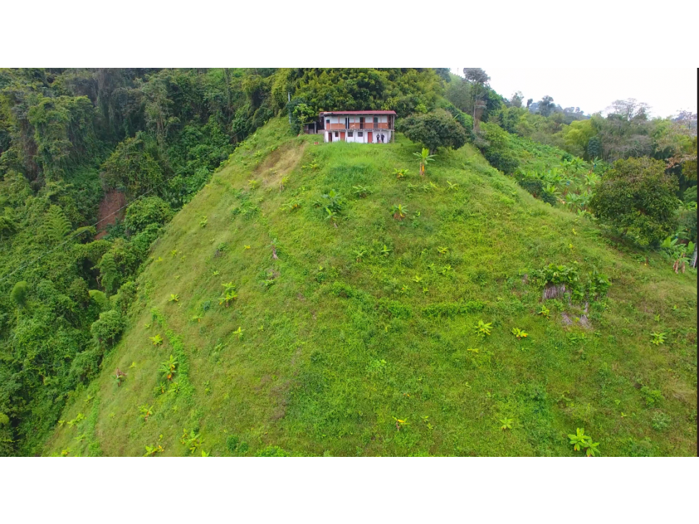 Venta Lote San Peregrino, Manizales cod 7251437