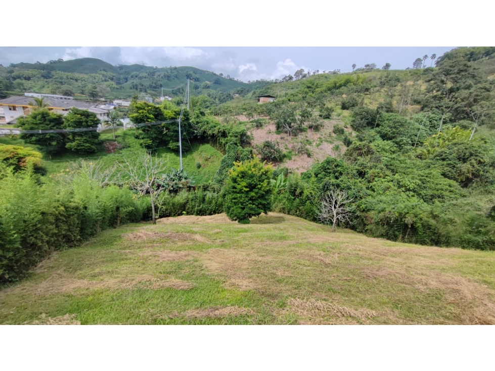 Venta Lote Campestre, Chinchiná COD 7525171 - 4