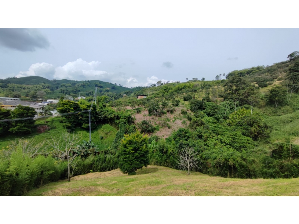 Venta Lote Campestre, Chinchiná COD 7562799 - 4
