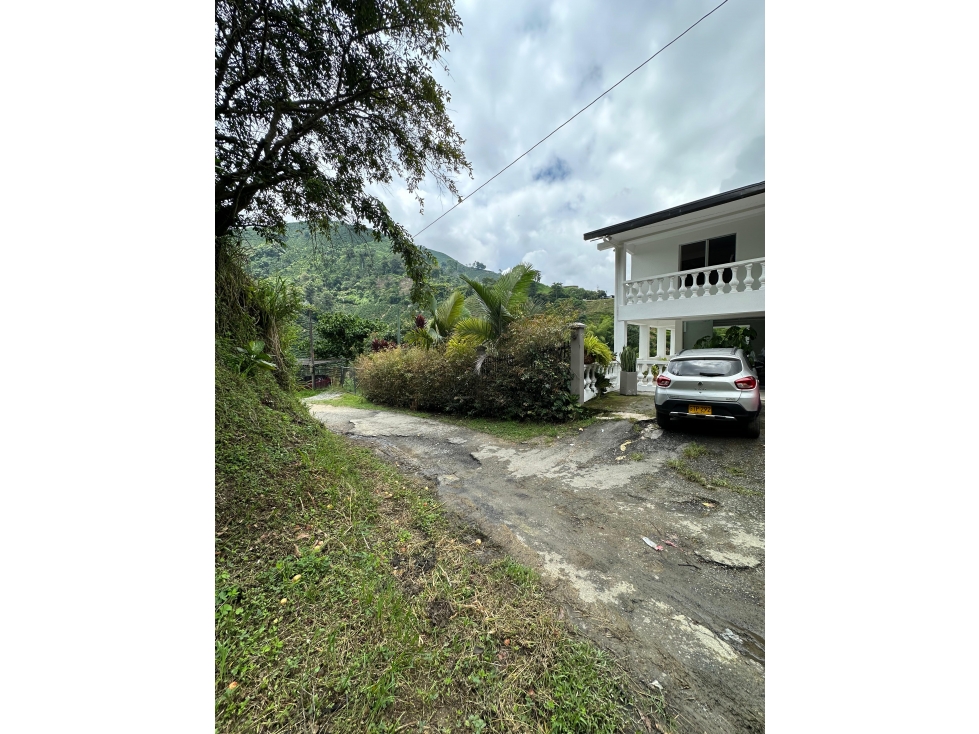 Venta Finca vereda La Violeta, Manizales, Cod 8012674 - 5