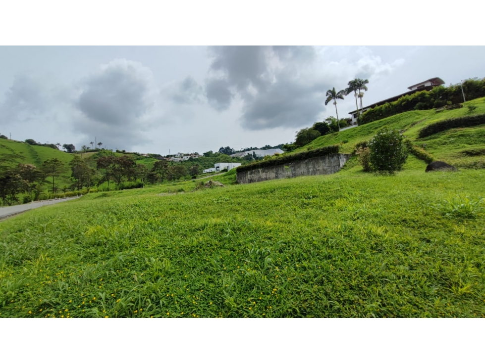 Venta Lote Campestre, Chinchiná COD 7562846 - 3