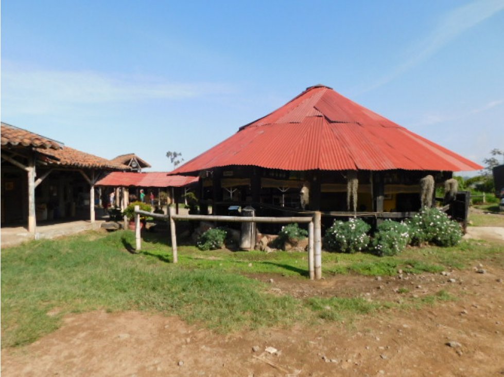 Venta Finca Comercial, Alto Tablazo, Manizales. Cod 1611750 — foto 5
