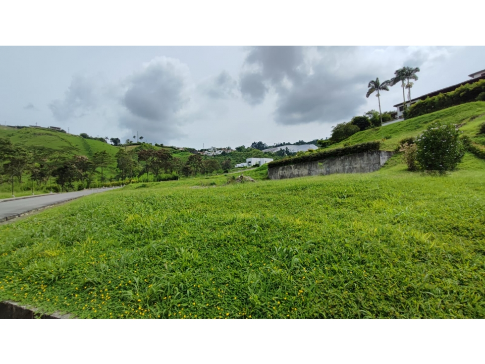 Venta Lote Campestre, Chinchiná COD 7562846 - 4