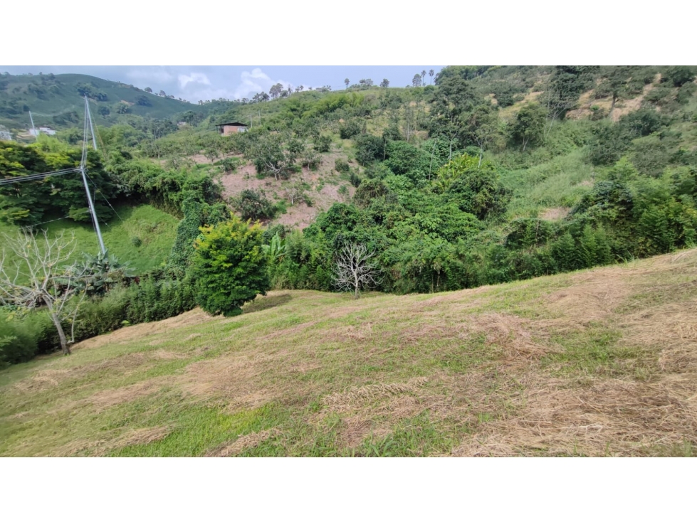 Venta Lote Campestre, Chinchiná COD 7562799 - 5
