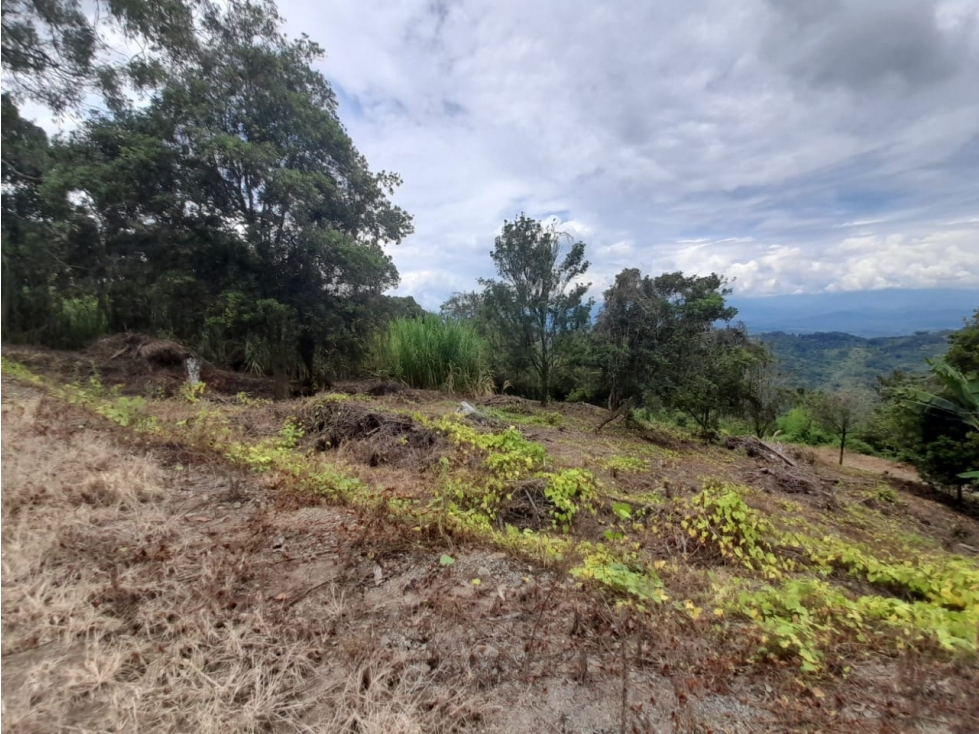 Venta Lote Cabaña, Manizales, código 4632707 — foto 5