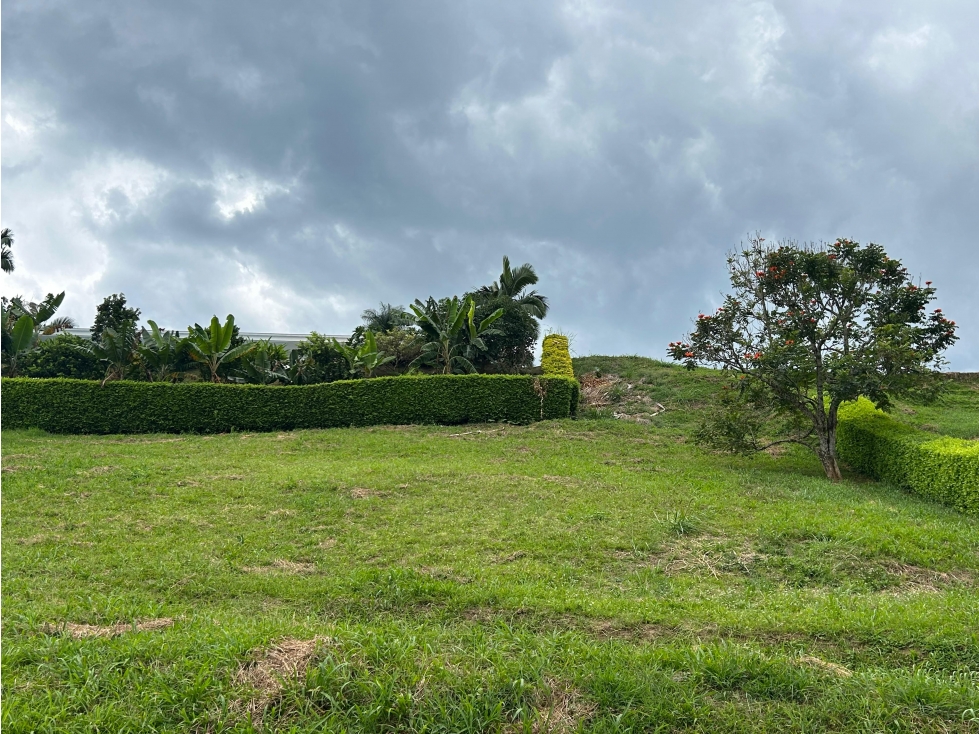 Venta Lote Campestre Vereda El Rosario, Manizales | Cód. 10071816 — foto 3