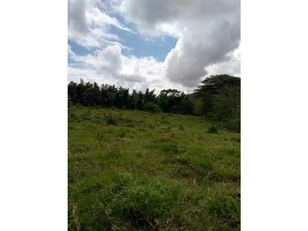 Venta lote, Arauca, Manizales Cod 731501 - 2