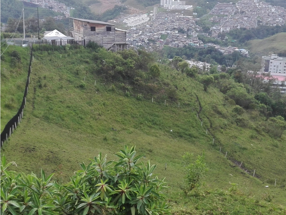 Venta Lote, Cerro de Oro, Manizales Cod 3970998