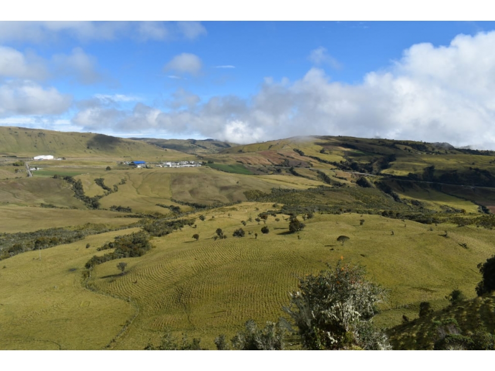 Venta Finca Paramo de Letras Manizales, Cod 4209791 — foto 3