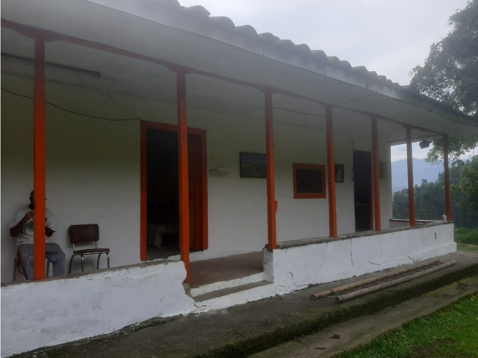 Venta Finca en el Sector Valles, Villamaría, Caldas Código 4876804 - 4