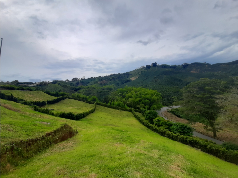 Venta Lote Conjunto Campestre en Chinchiná Cod 5204143 - 2