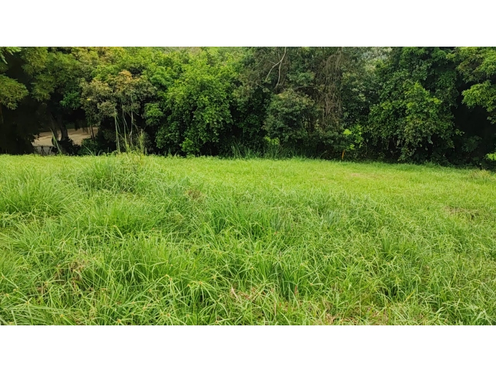 Venta Lote en Santagueda, Palestina COD. 9450697 — foto 2