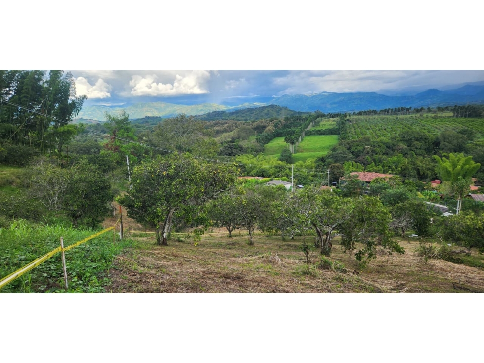 Venta Lote Las Margaritas, Manizales Cod 9895767 — foto 3