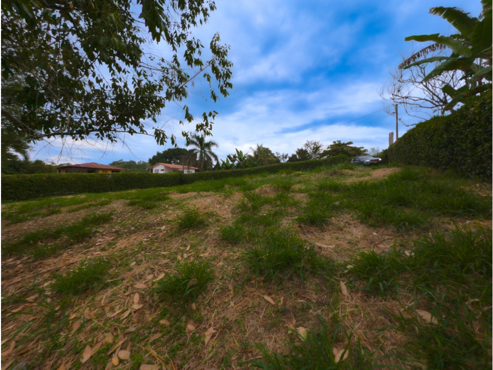 Venta Lote Kilometro 47, Vía Manizales- Medellín Cod 10018895 — foto 5