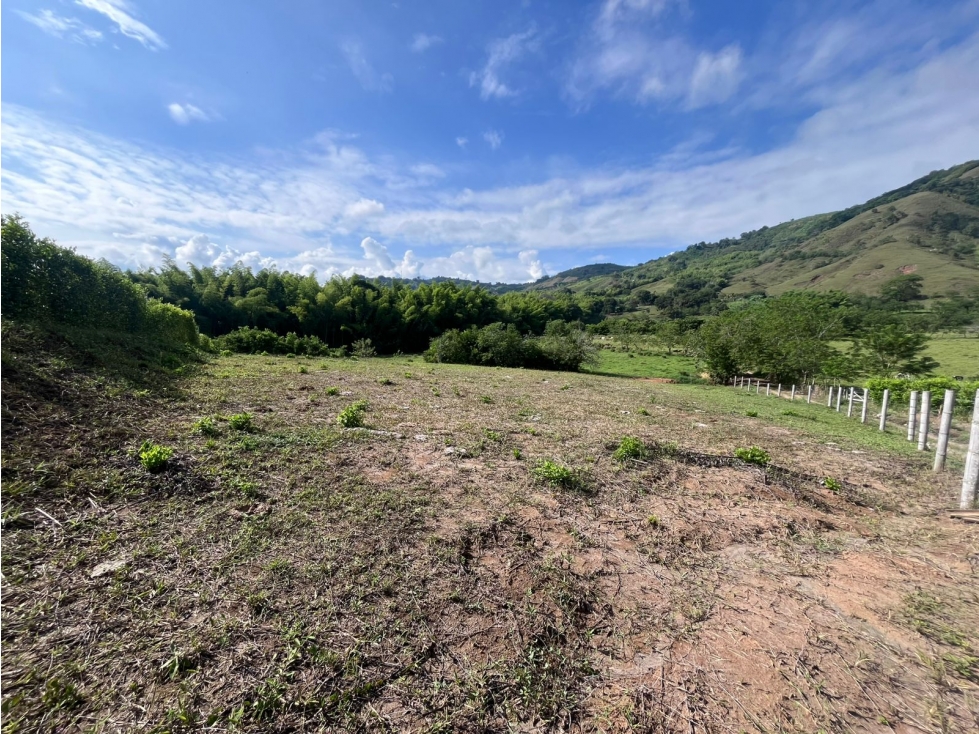Venta Lote Campestre Santagueda, Palestina Cod 10359953 - 2