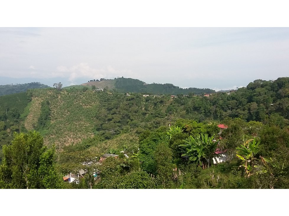 Venta finca via a La Cabaña vrda el chuzo, Manizales, CÓD 542808 — foto 3