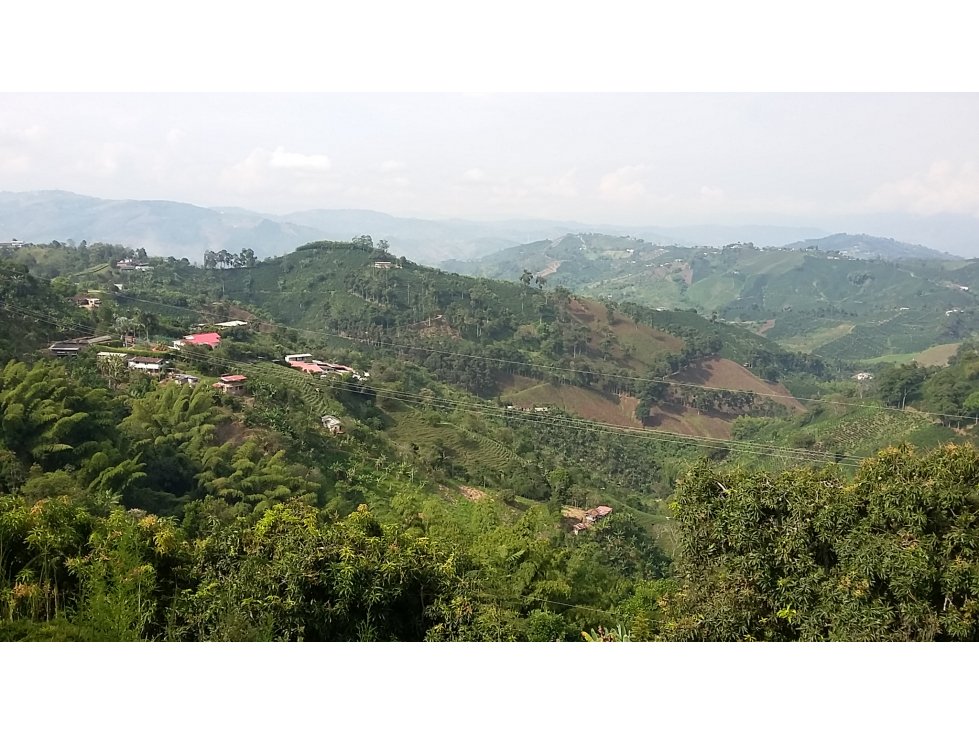 Venta finca via a La Cabaña vrda el chuzo, Manizales, CÓD 542808