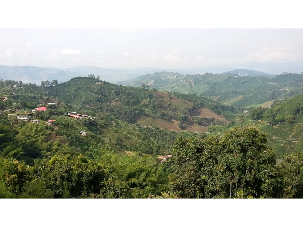 Venta finca via a La Cabaña vrda el chuzo, Manizales, CÓD 542808 — foto 2