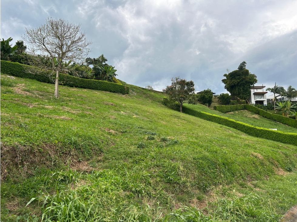 Venta Lote Campestre Vereda El Rosario, Manizales | Cód. 10071816 — foto 6