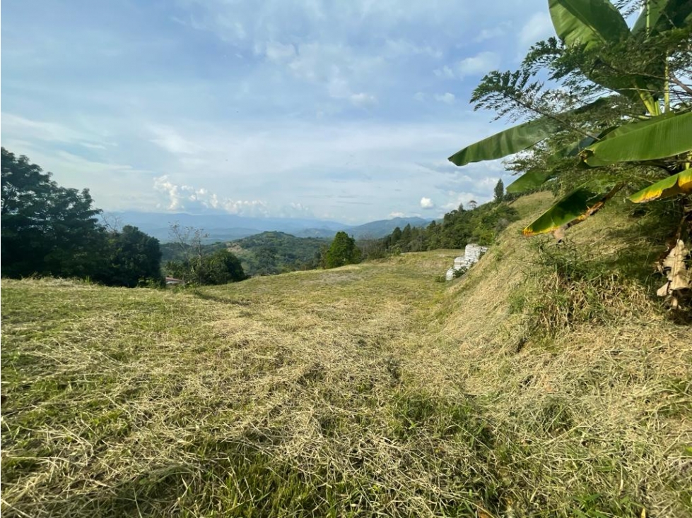 Venta Lote Cabaña, Manizales, código 4632707 — foto 2
