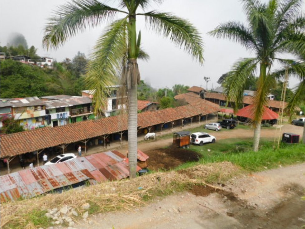 Venta Finca Comercial, Alto Tablazo, Manizales. Cod 1611750 — foto 3