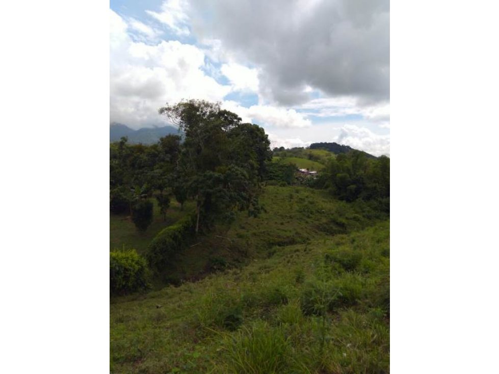 Venta lote, Arauca, Manizales Cod 731501 - 3