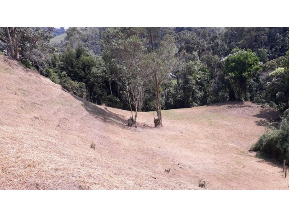 Venta lote en el Trebol,Manizales. Cod:1044239 — foto 4