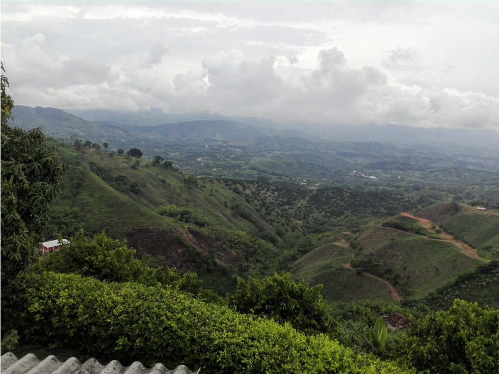Venta Finca en Palestina, Caldas Cod 4039856 - 4