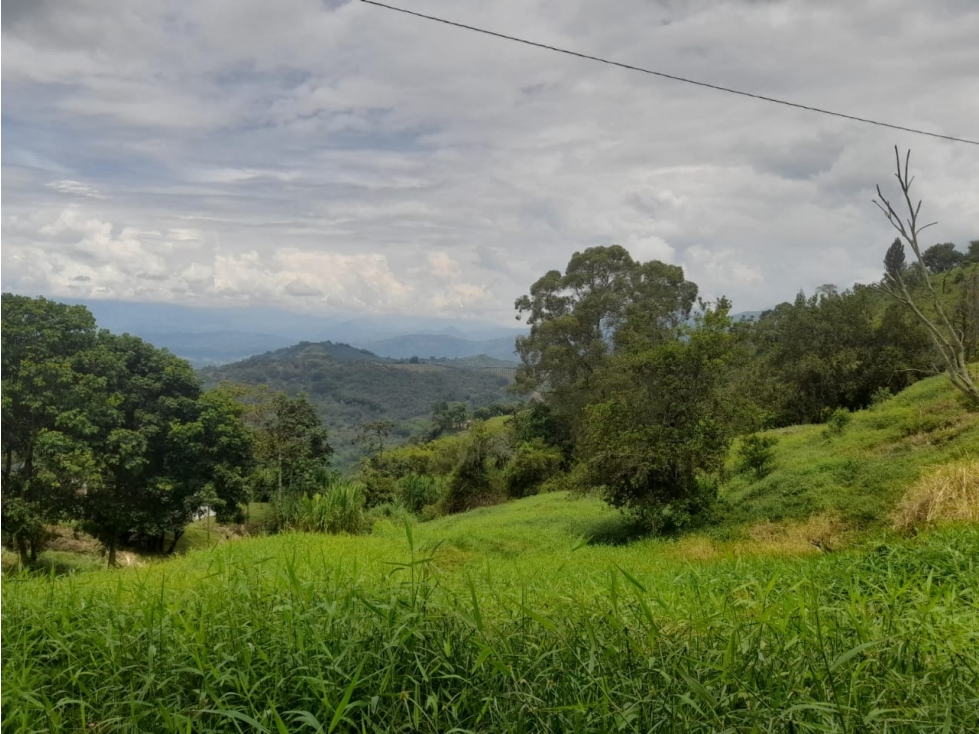 Venta Lote Cabaña, Manizales, código 4632707 — foto 6