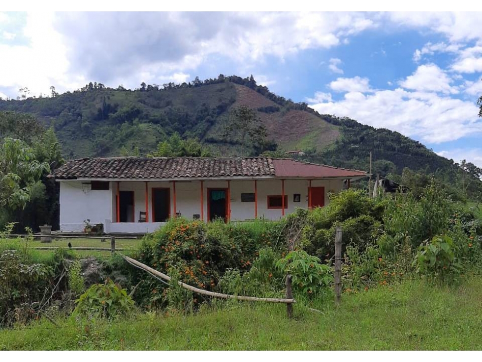 Venta Finca en el Sector Valles, Villamaría, Caldas Código 4876804 - 5