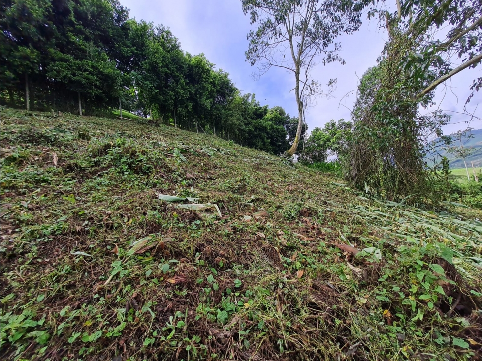 Venta Lote Club Campestre, Manizales, Cód. 5316761