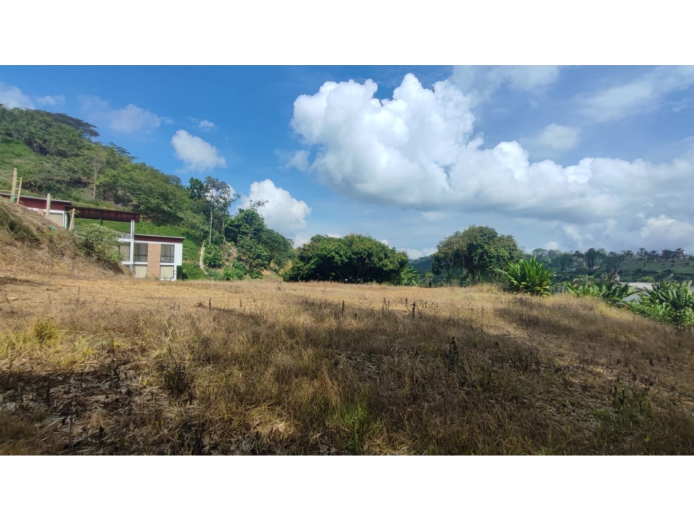 Vendo, Lote en Kilometro 15 Via Manizales La Trinidad — foto 4