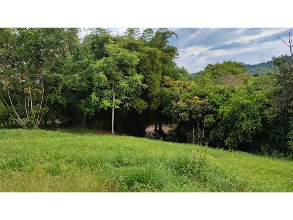 Venta Lote en Santagueda, Palestina COD. 9450697 — foto 4