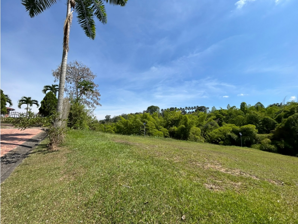 Venta Lote Campestre San Bernardo del Viento, Manizales Cod 10259694 — foto 2