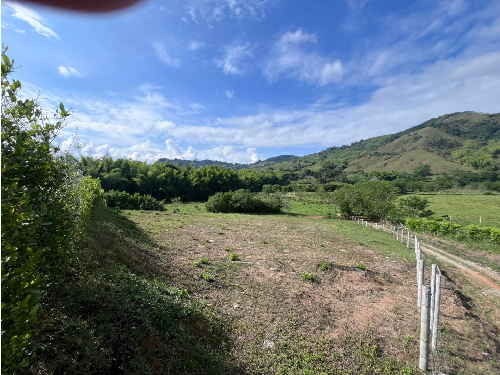 Venta Lote Campestre Santagueda, Palestina Cod 10359953 - 3