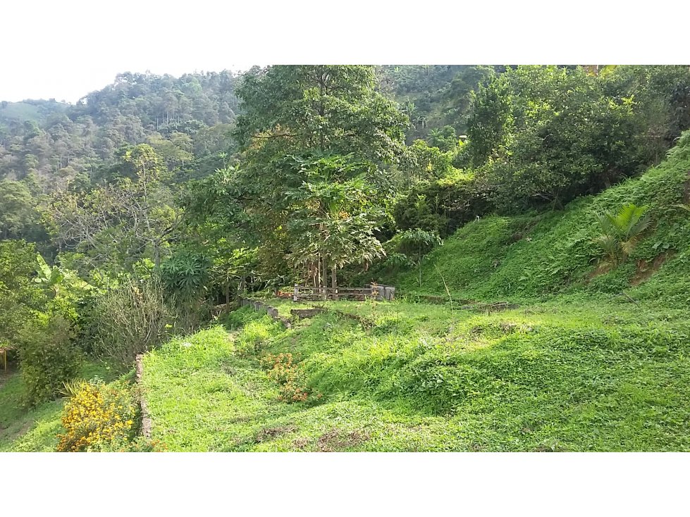 Venta finca via a La Cabaña vrda el chuzo, Manizales, CÓD 542808 — foto 6