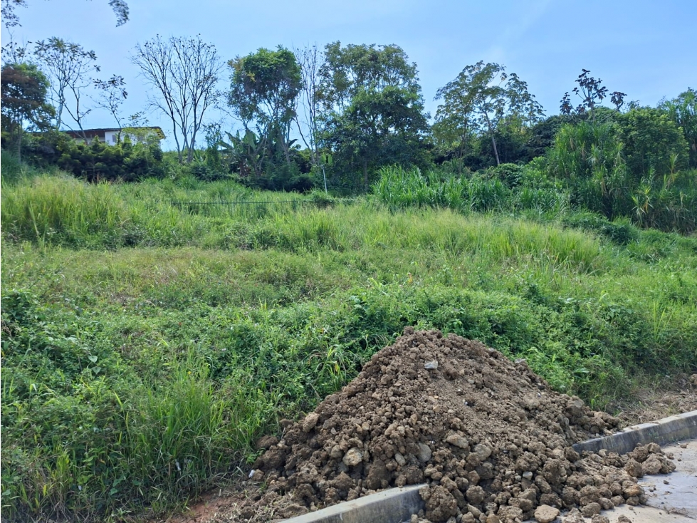Venta Lote Cabaña, Manizales, COD. 9763505