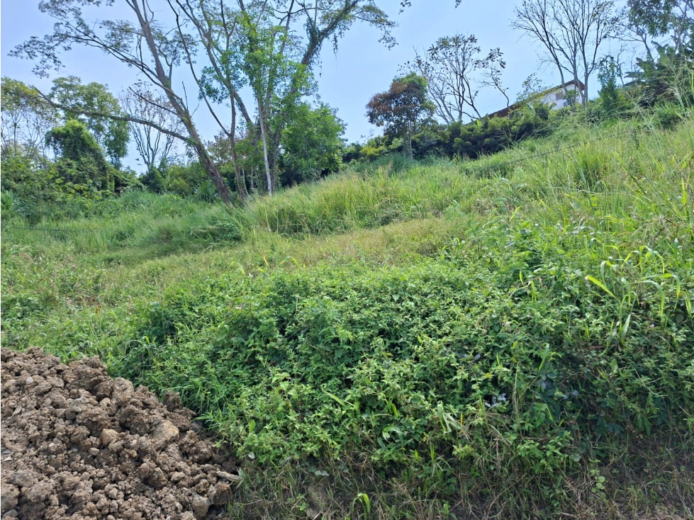 Venta Lote Cabaña, Manizales, COD. 9763472
