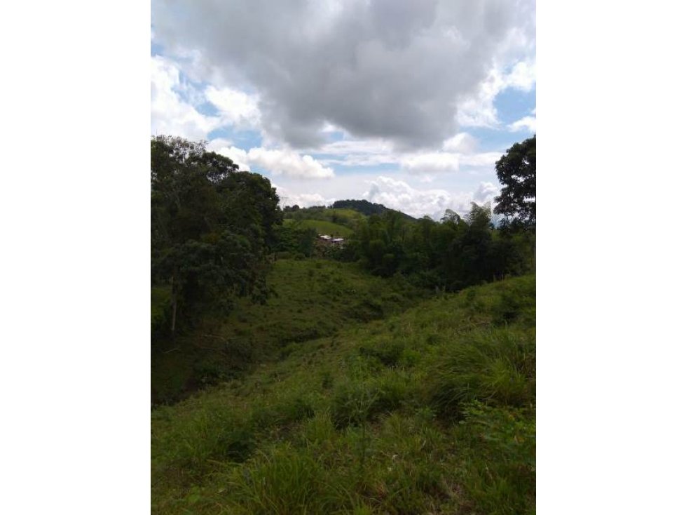 Venta lote, Arauca, Manizales Cod 731501 - 4