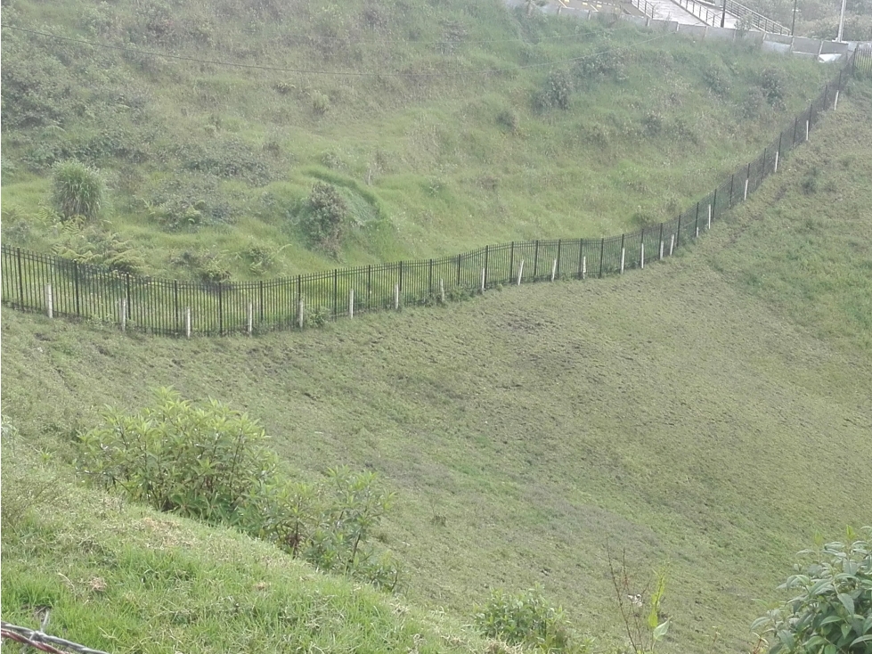 Venta Lote, Cerro de Oro, Manizales Cod 3970998 — foto 3
