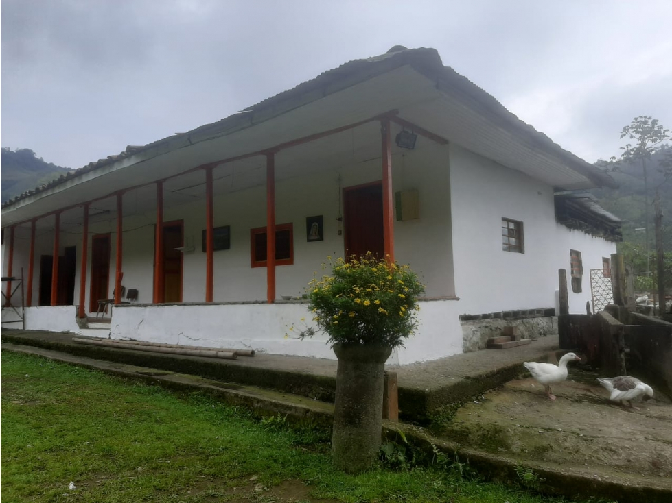 Venta Finca en el Sector Valles, Villamaría, Caldas Código 4876804 - 6