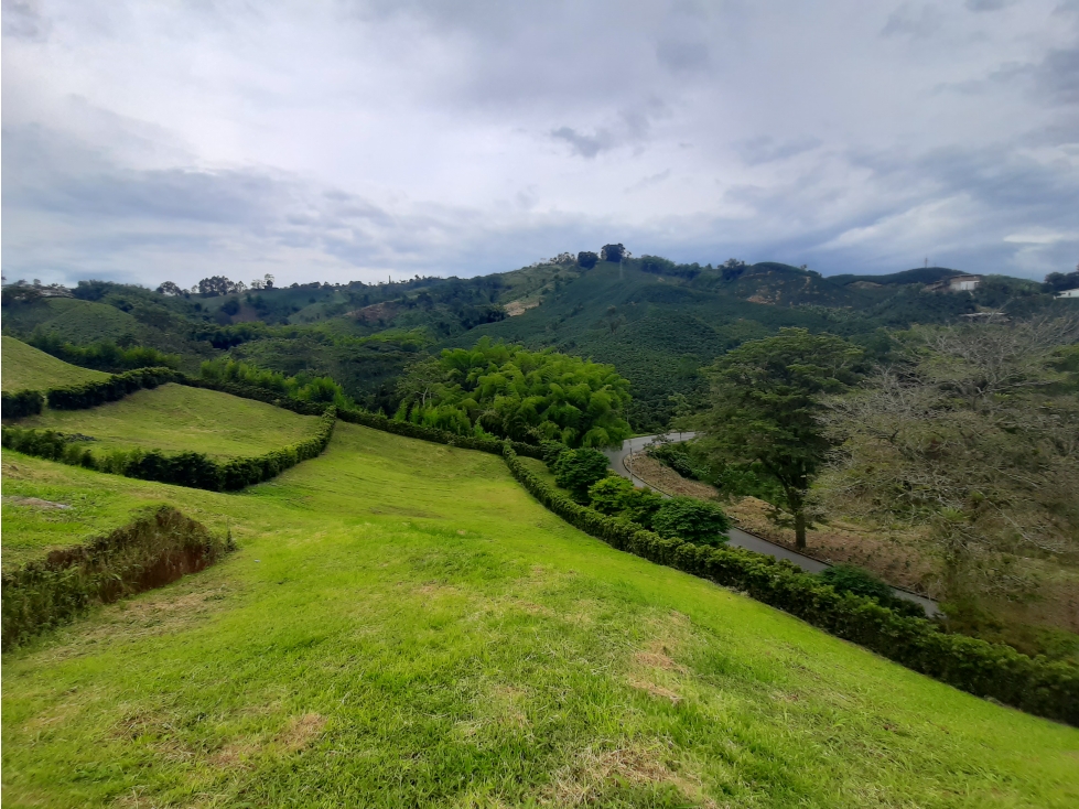 Venta Lote Conjunto Campestre en Chinchiná Cod 5204143 - 4