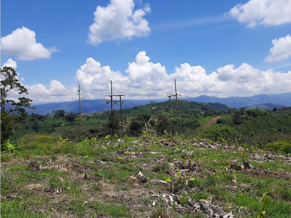 Vendo lote en Santagueda, Palestina cód.5438045 — foto 4