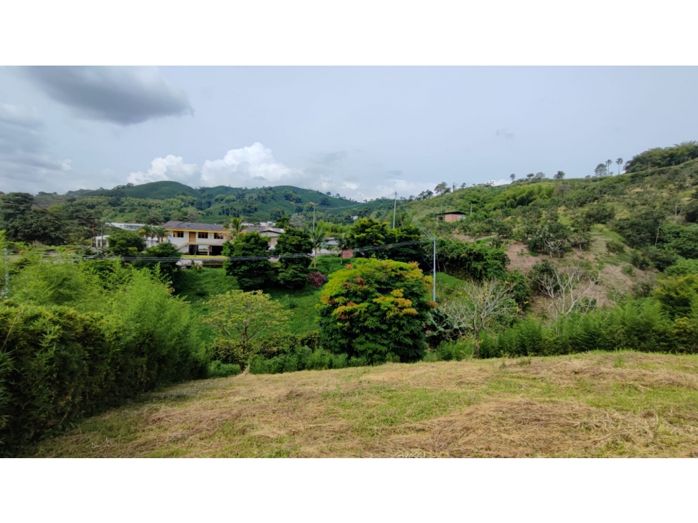 Venta Lote Campestre, Chinchiná COD 7525171 - 3