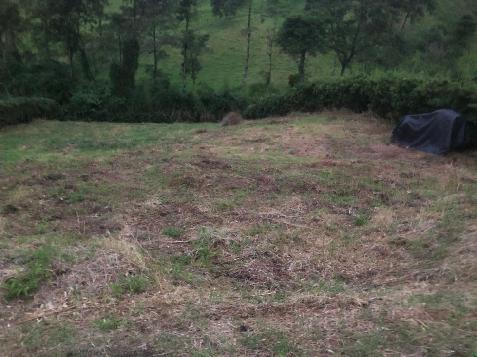 Venta lote campestre Chinchiná, Caldas COD 9075750 - 1